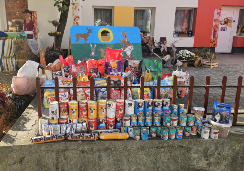 Együtt az állatokért..