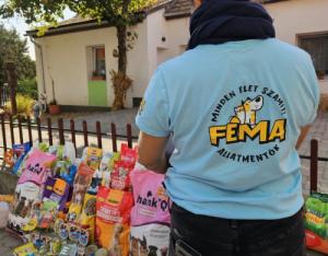Adománygyűjtés a FeMa Állatmentők részére